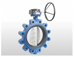 Rubber Lined Lug & Wafer Type Butterfly Valve