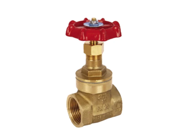 brass gate valve